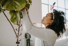 Come avere un angolo green a casa
