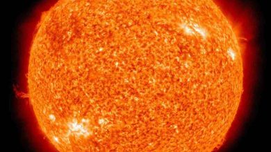 sole macchia solare grande 4 volte terra pericolo allarme