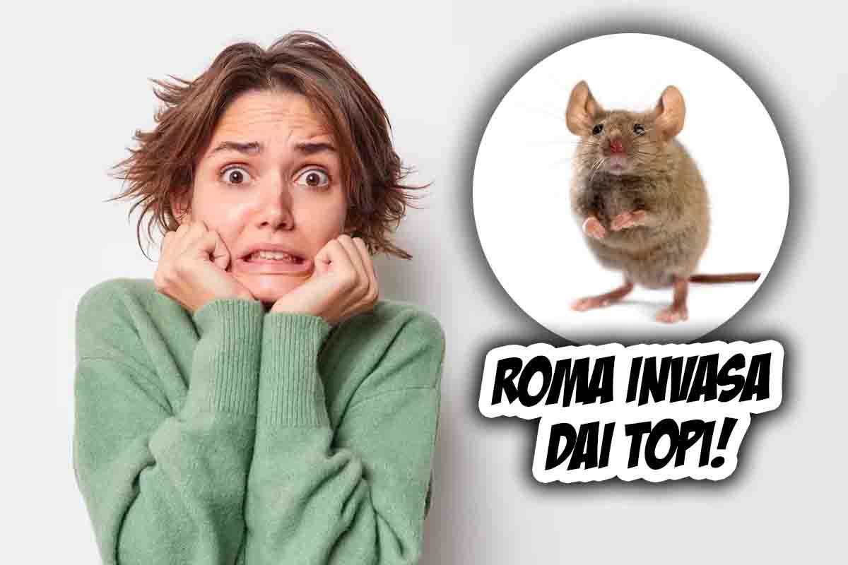 Roma invasa dai topi