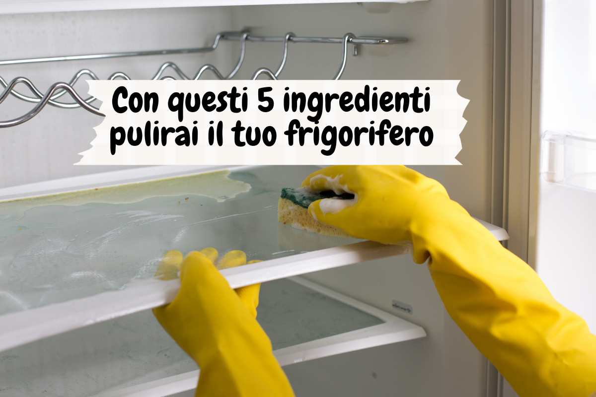 Come pulire il frigo in modo naturale