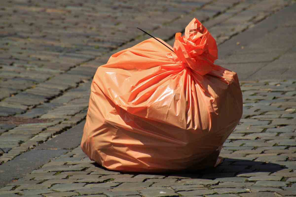 Ecco i metodi per evitare gli scarafaggi in casa