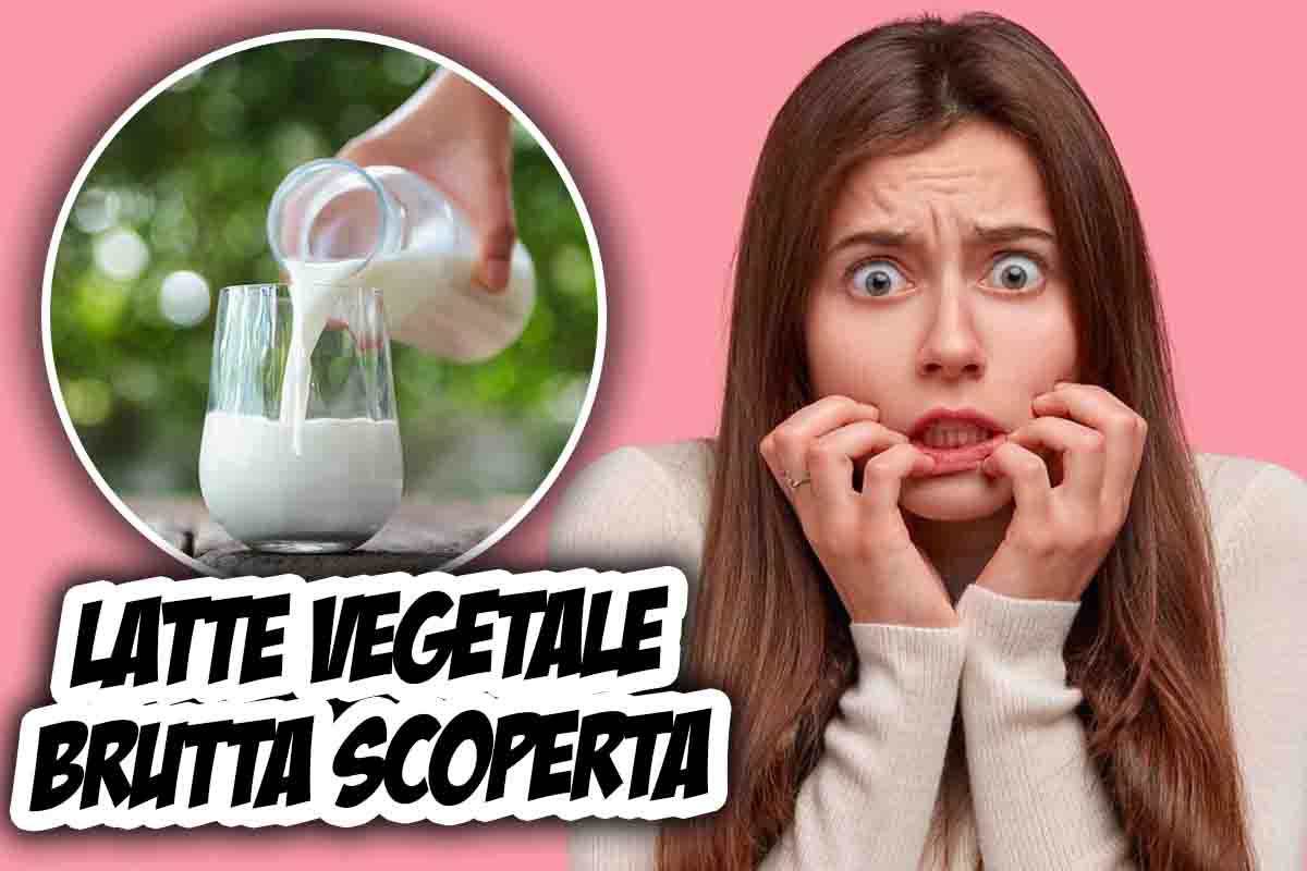 Latte vegetale notizia