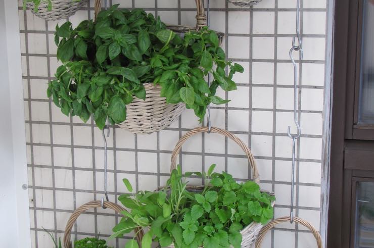 Fiori e vasi, come disporli in balcone senza spendere soldi
