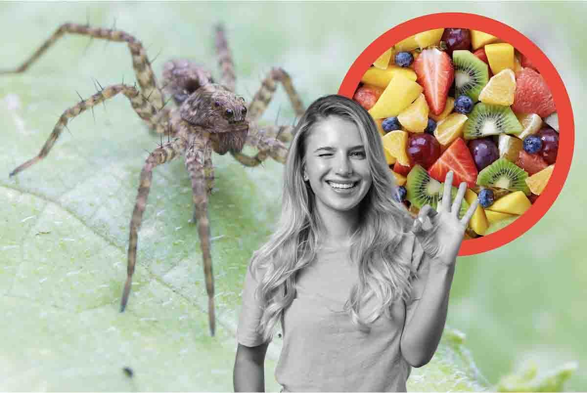 come scacciare il ragno lupo dal giardino