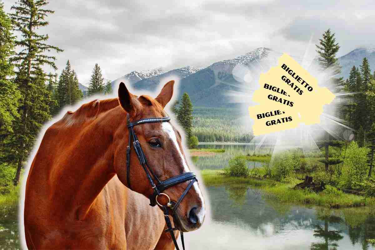 biglietto gratis animali