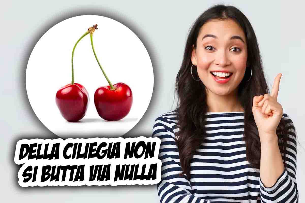 Riutilizzare noccioli della ciliegia