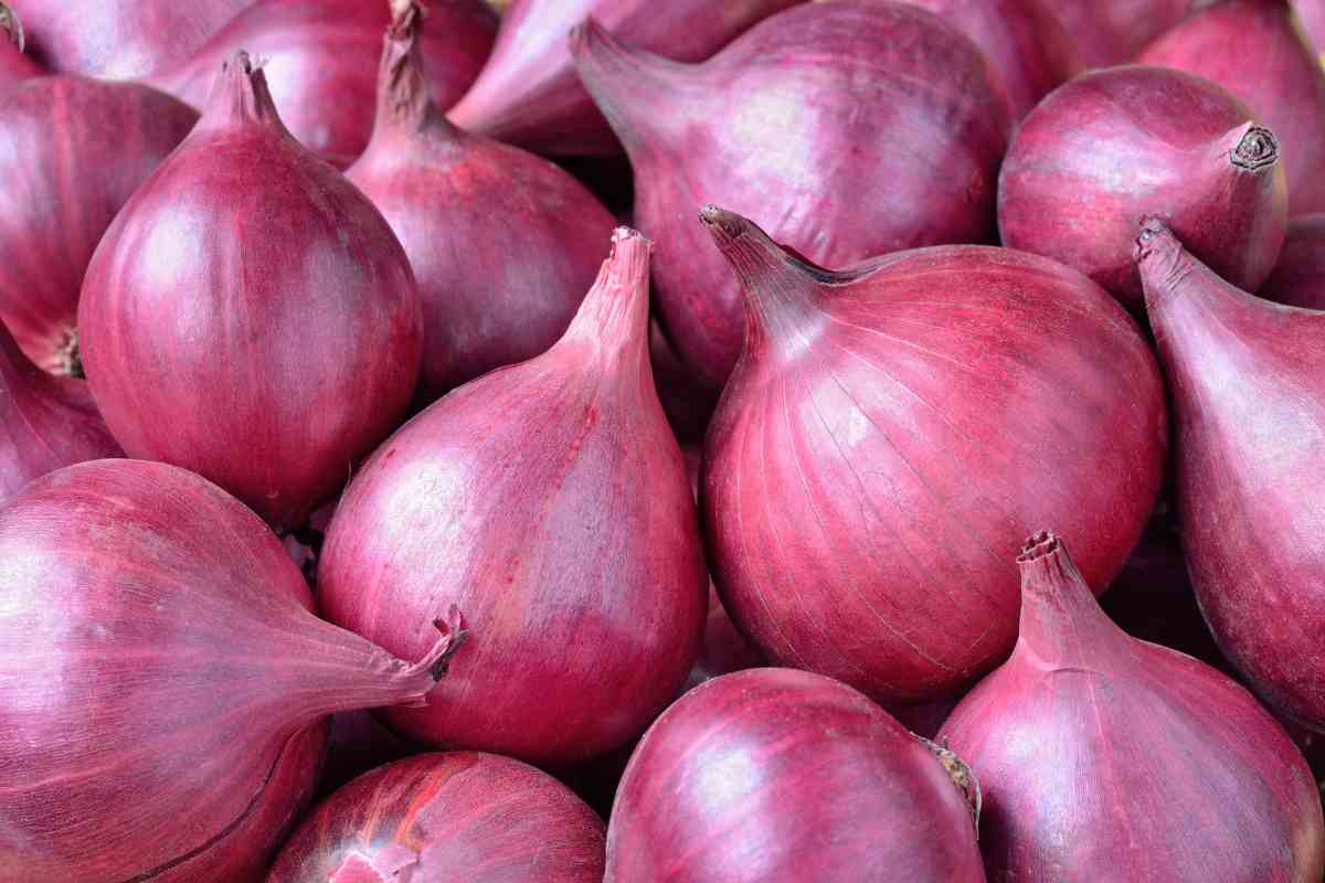 come riconoscere le cipolle marce