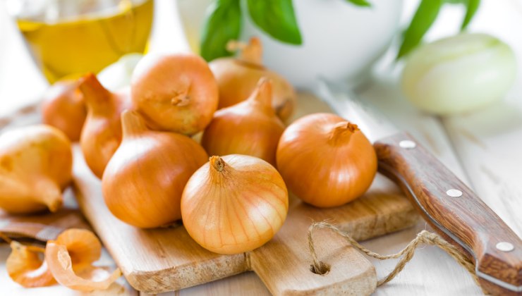 come riconoscere le cipolle marce