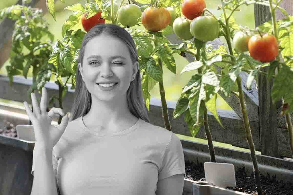 coltivare sul balcone di casa