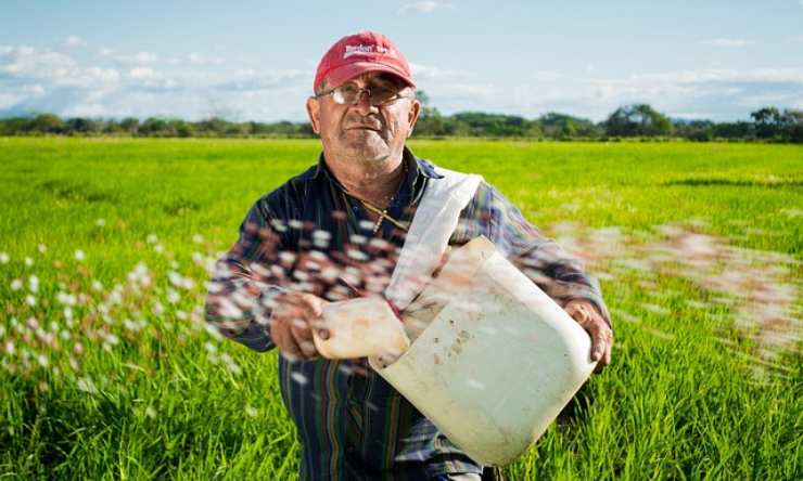 utilizzo della borlanda nell'agricoltura