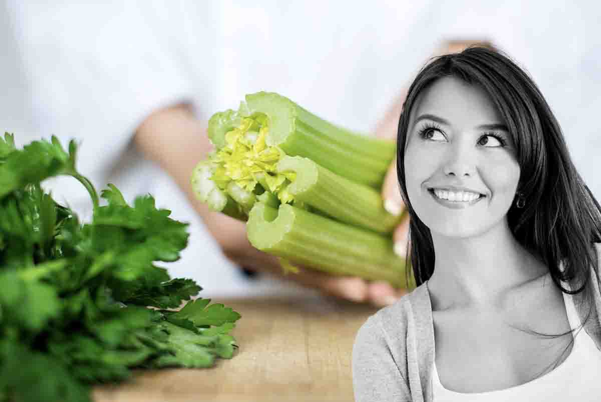 Benefits of celery leaves and their benefits