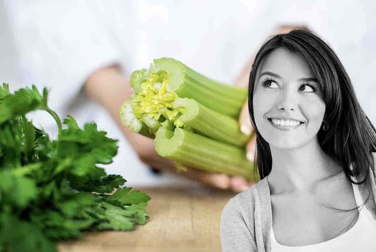 Celery leaves, which is why you should never throw them away: invaluable benefits