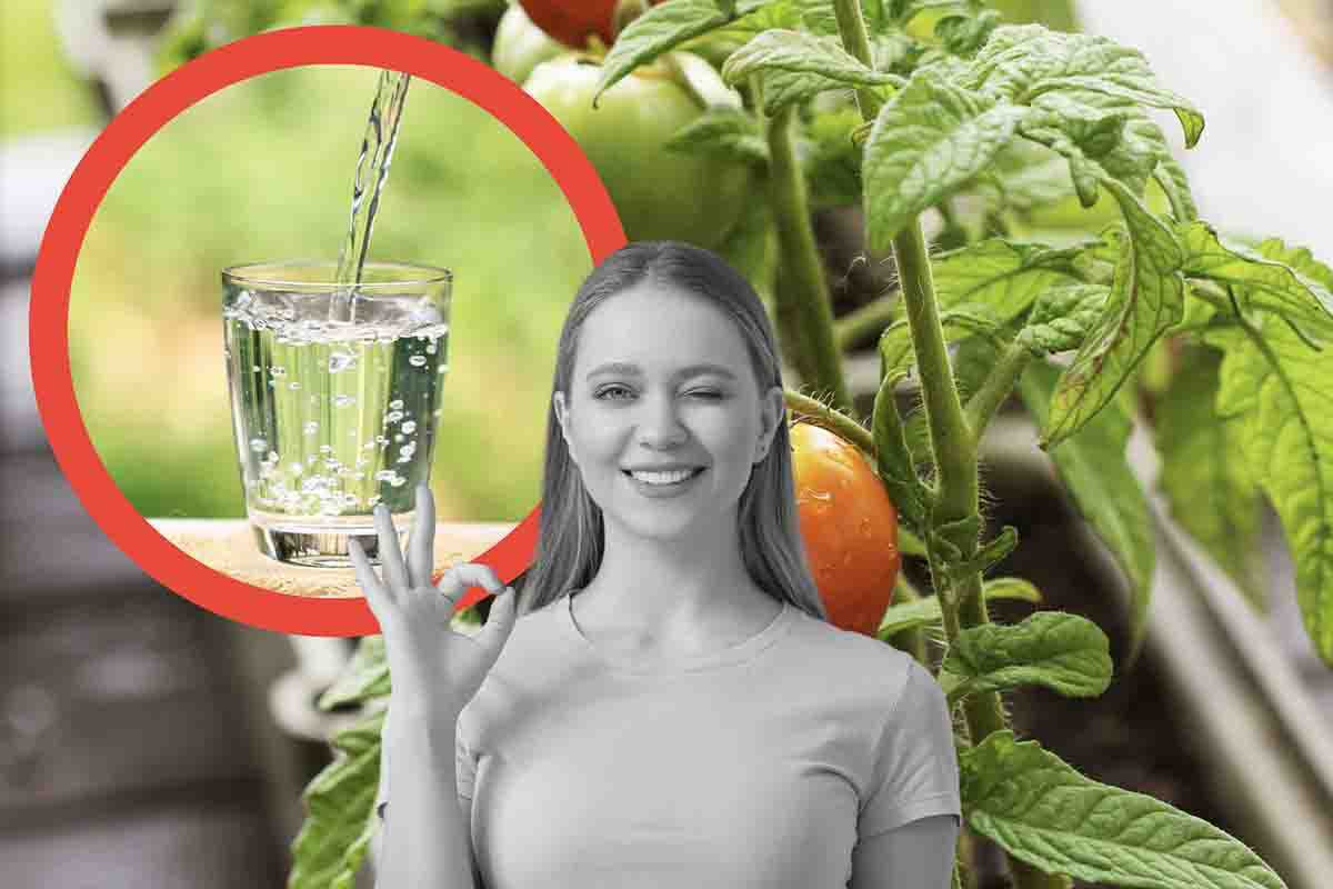 Frutta e verdura in casa