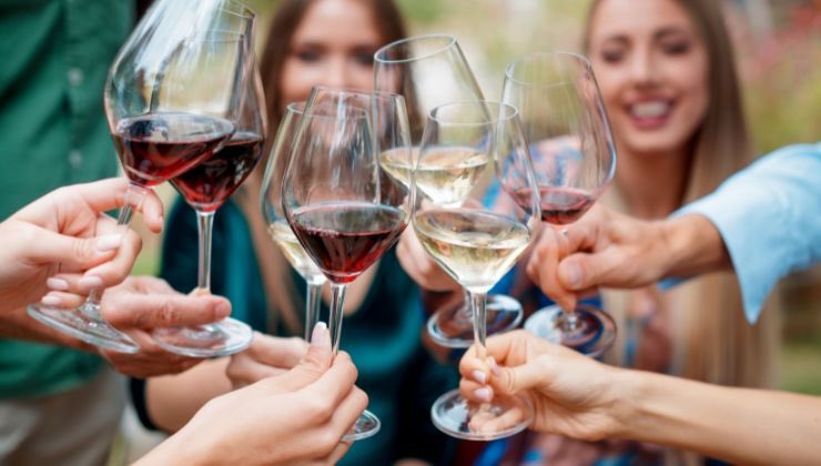 il vino che ferma l'invecchiamento della pelle