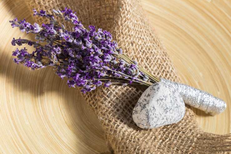 Piante per ridurre lo stress