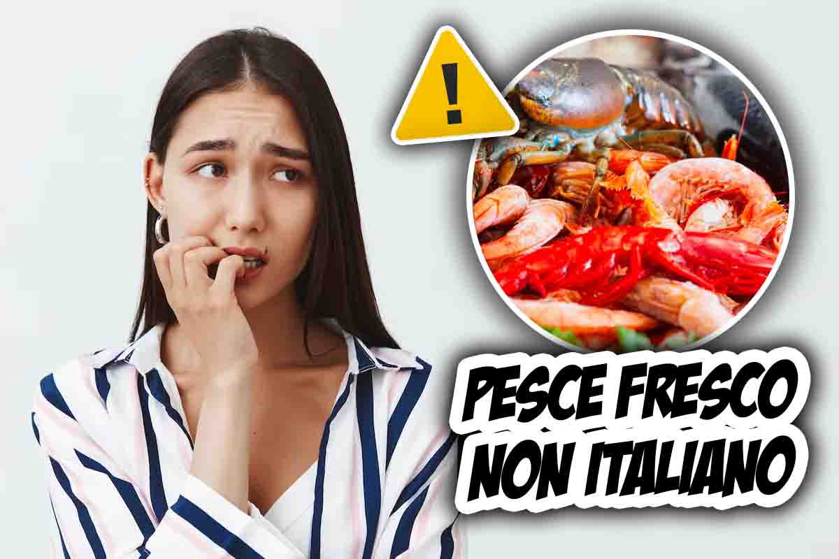 Allarme sul pesce fresco non italiano, la ricerca di Coldiretti