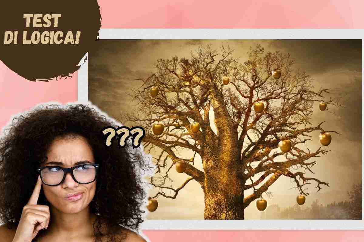 Test albero di mele