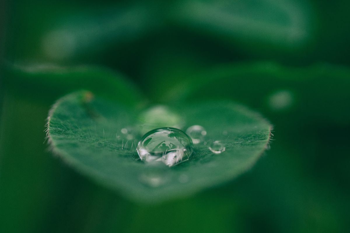 Come risparmiare l'acqua