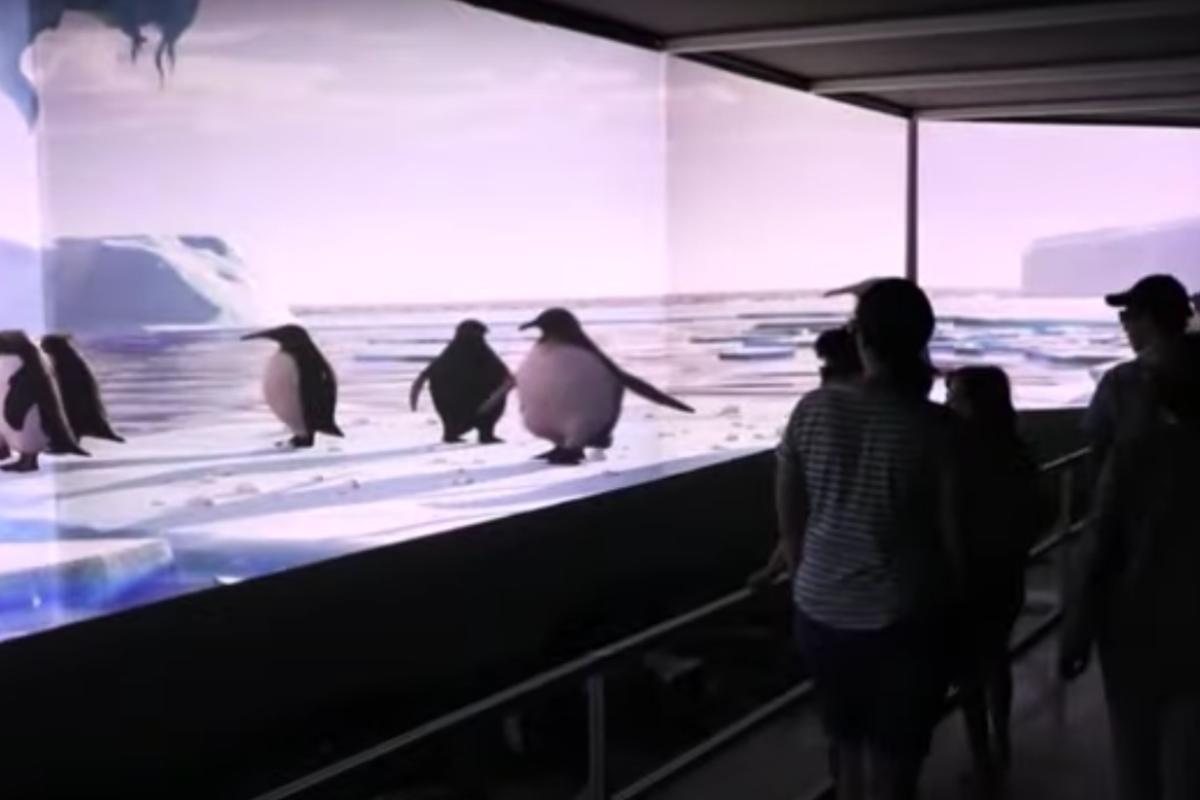 Ologrammi animali