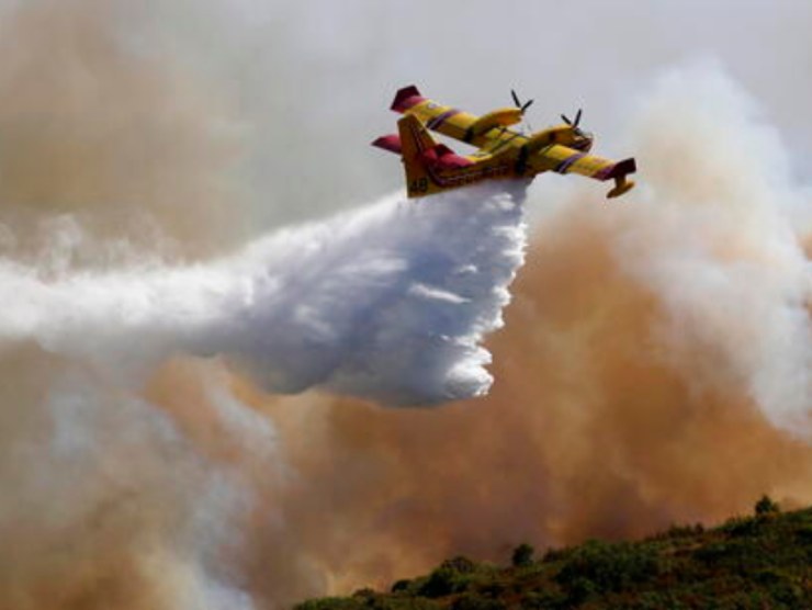 Incendi, piromani sanzioni