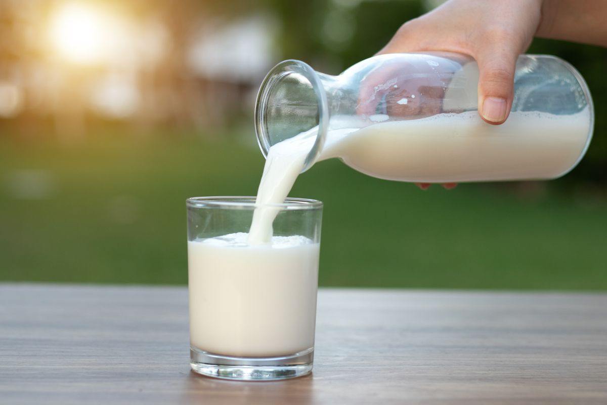 Se abbiamo il colesterolo alto possiamo bere il latte? L'esperto ci risponde