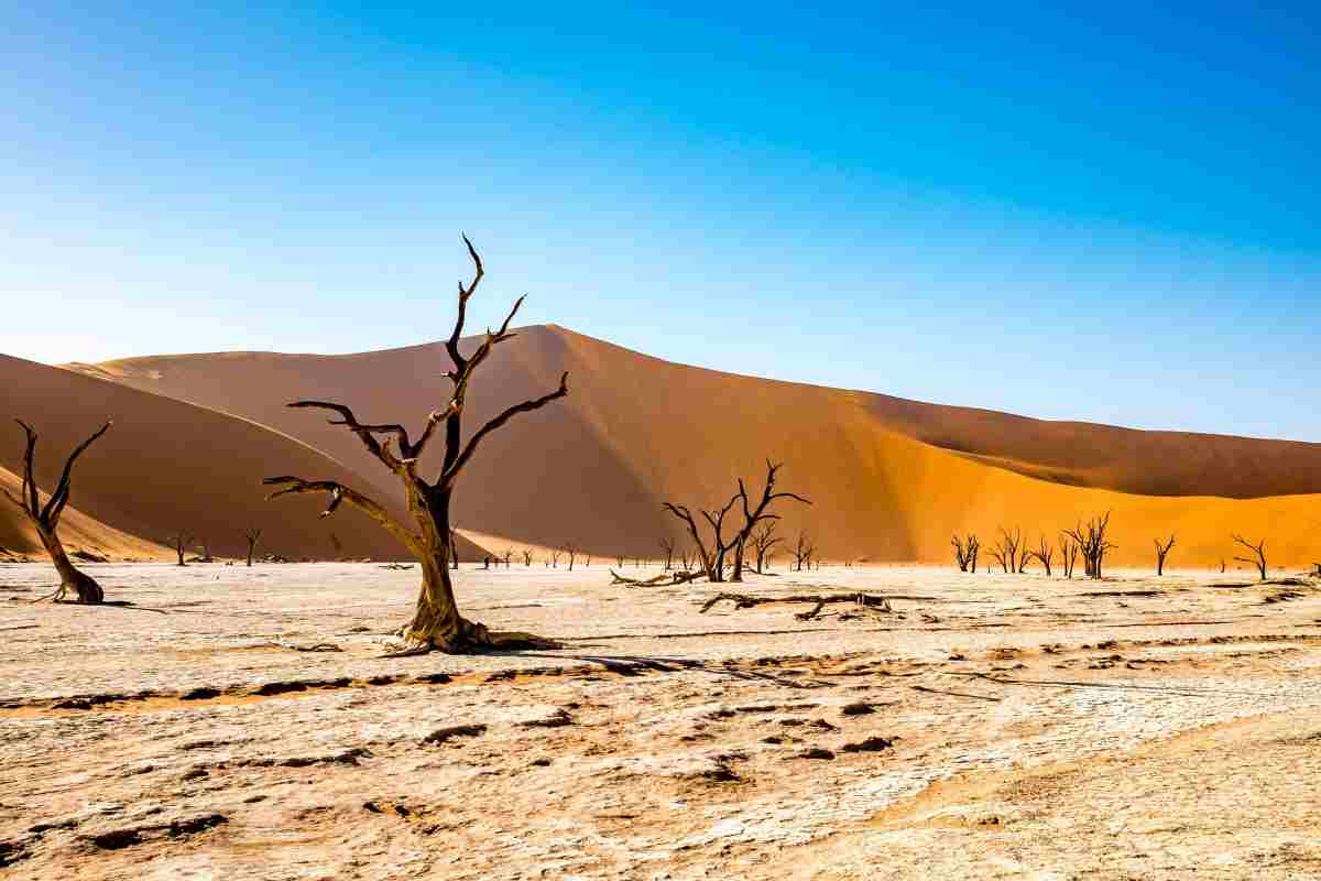 Cambiamenti climatici legati al collasso terrestre