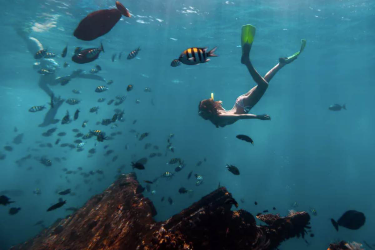 La migliore attrezzatura per lo snorkeling di Decathlon
