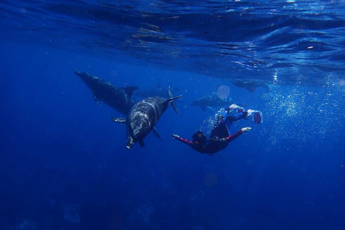 Il jetpack per nuotare come i delfini