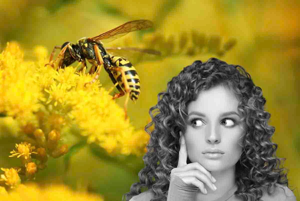 come allontanare api e vespe da casa