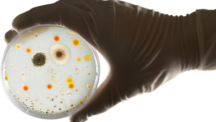 batteri pericolosi dai quali stare lontani