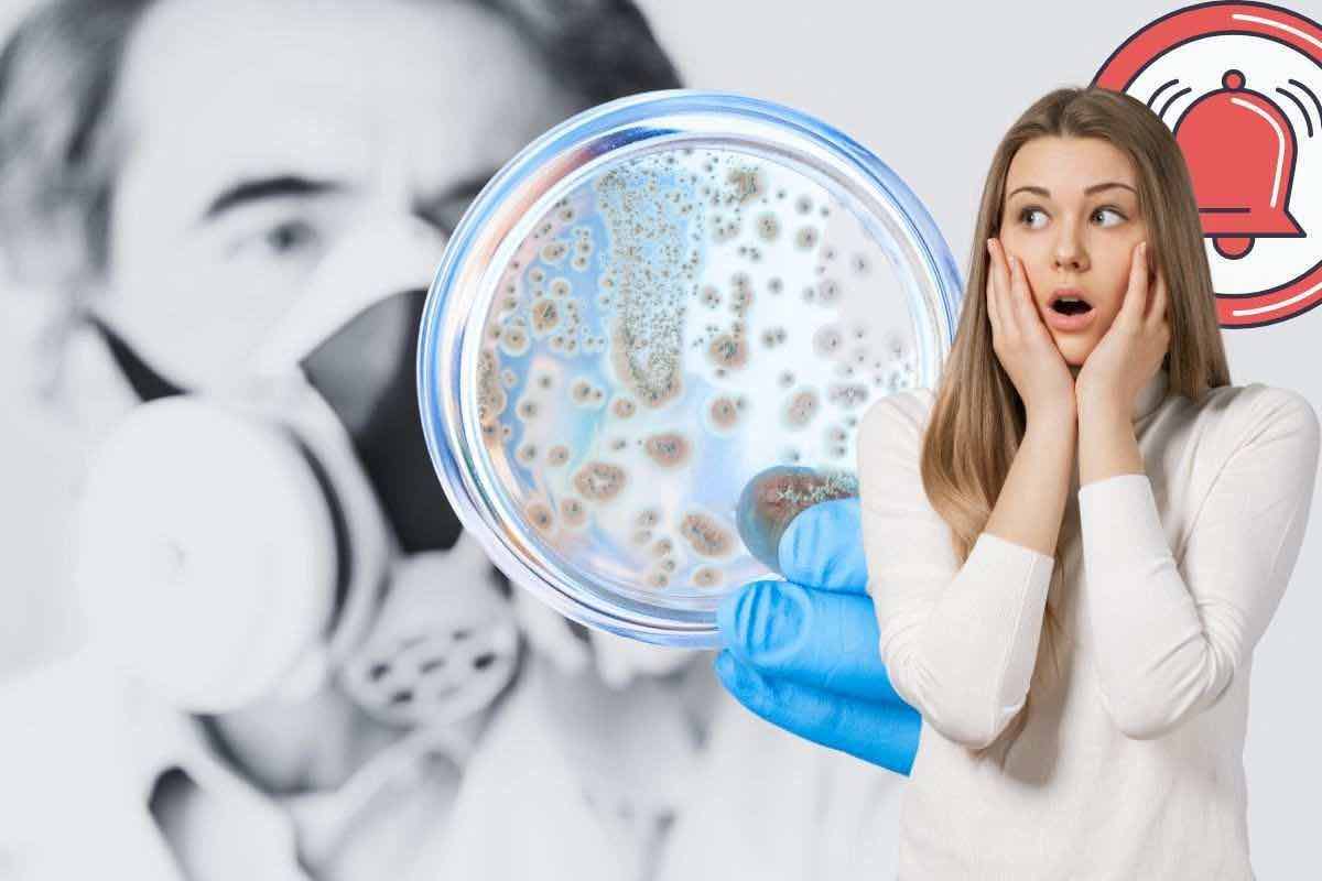batteri pericolosi dai quali stare lontani
