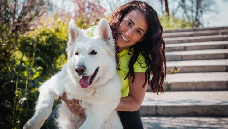 questo cane non poteva nemmeno avvicinarsi