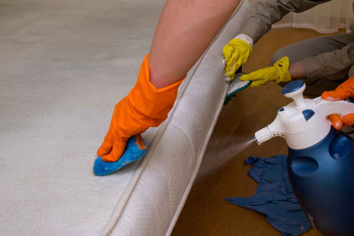 Disinfettare materasso