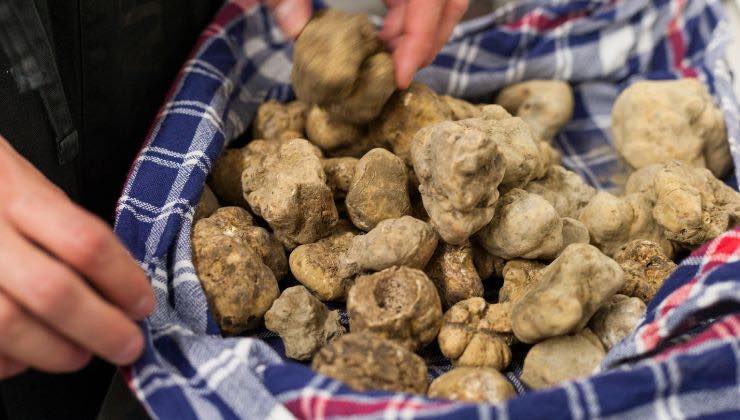 polemiche in toscana per le nuove leggi