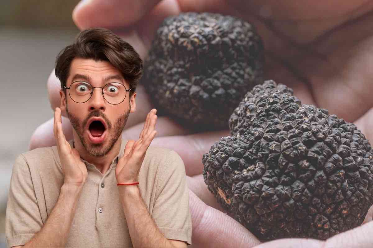 polemiche in toscana per le nuove leggi
