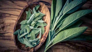 come usare la salvia in casa