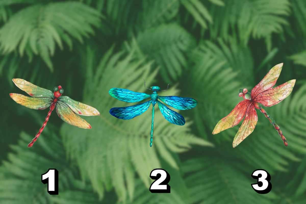 Test della libellula
