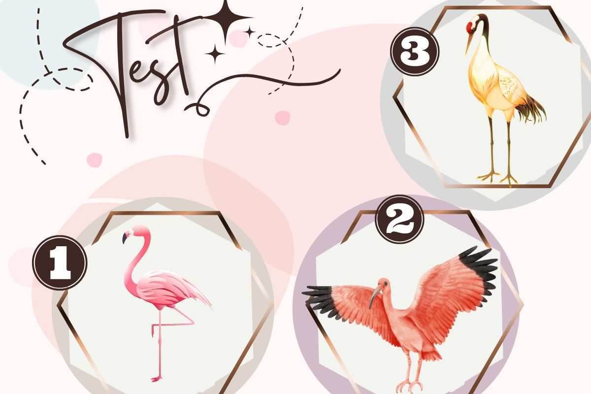 Psico test cosa piu importante vita