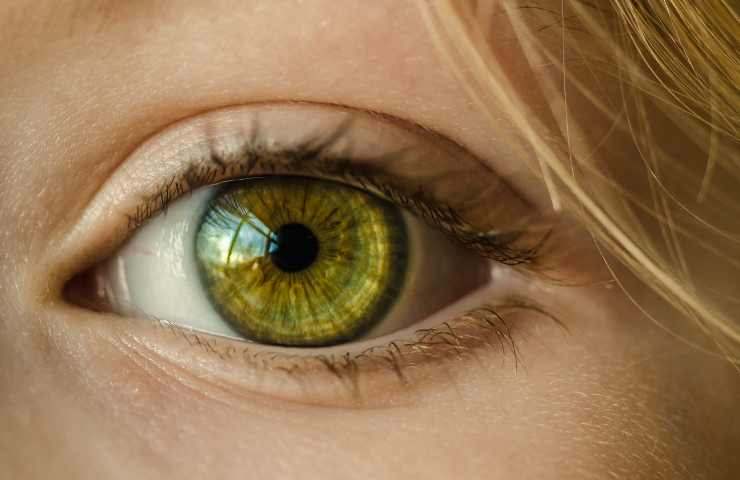 test personalità caratteristica 