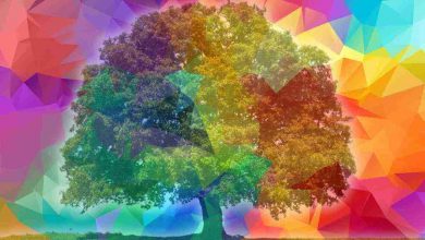 Albero a colori