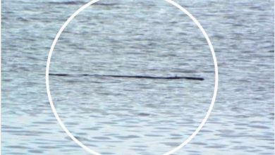 Mostro di Loch Ness, le foto dell’account Instagram del lago