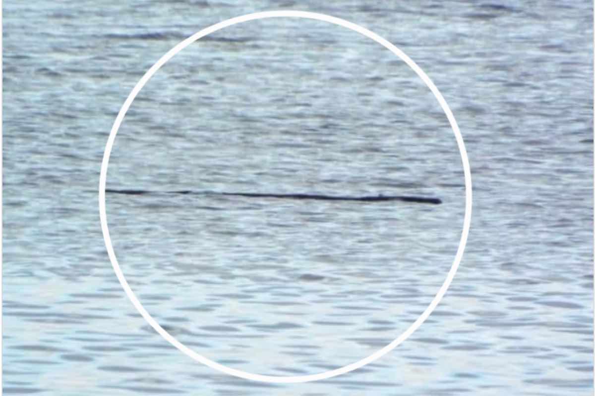Mostro di Loch Ness, le foto dell’account Instagram del lago
