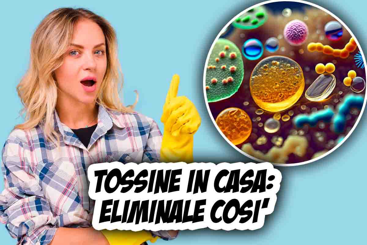 come scoprire eliminare tossine casa