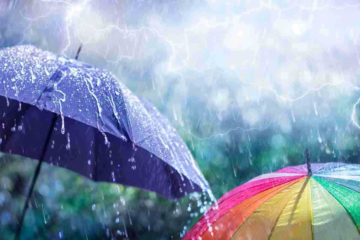 Unico animale che non si bagna quando piove