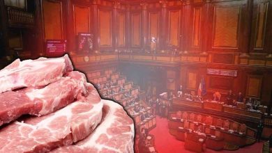 richiamo carne fiorani salmonellosi
