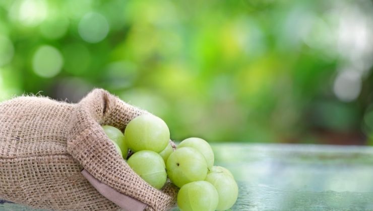 amla proprietà