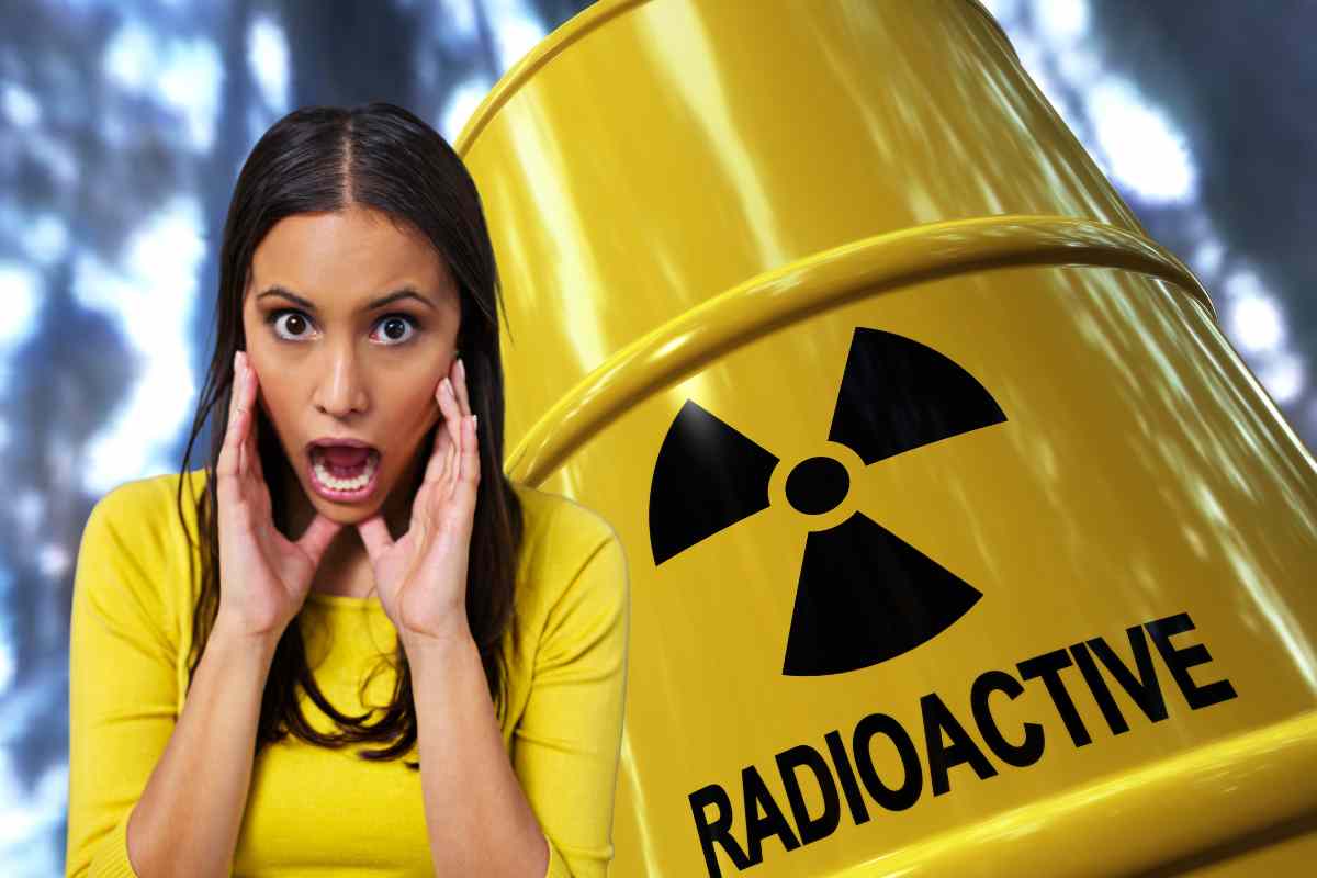 cinghiali radioattivi in una nazione