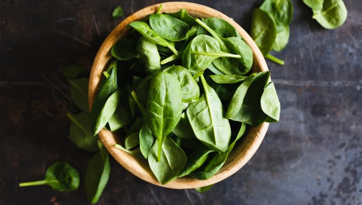 conserva le foglie di basilico così