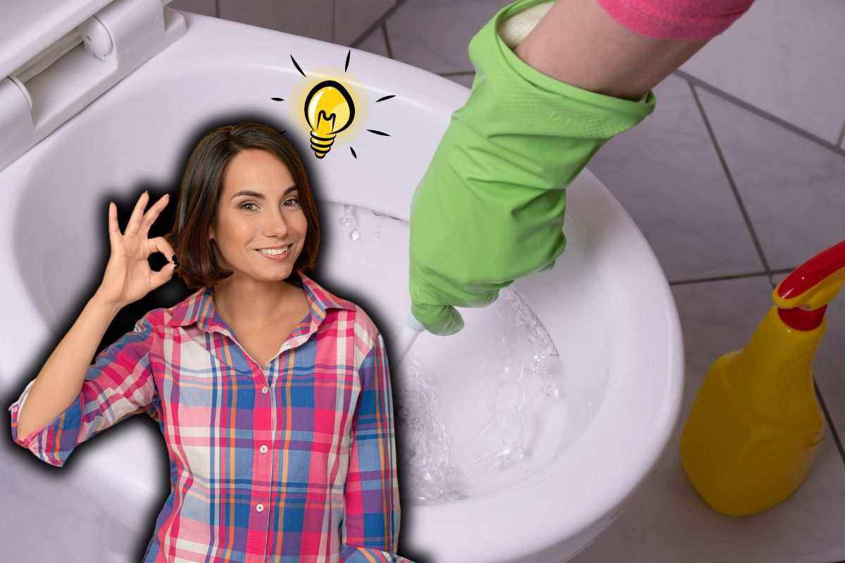 alcune idee per tenere pulito il water