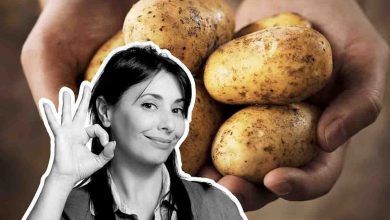 le patate possono essere coltivate in casa ecco come fare